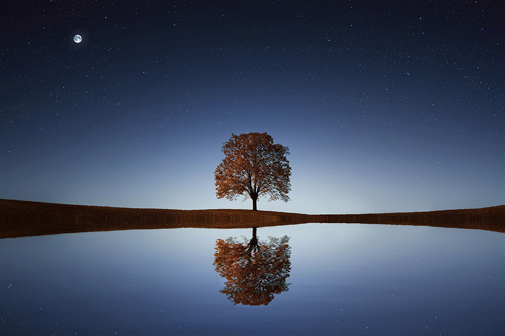 Single Oak Tree reflecting on the water of a windless lake